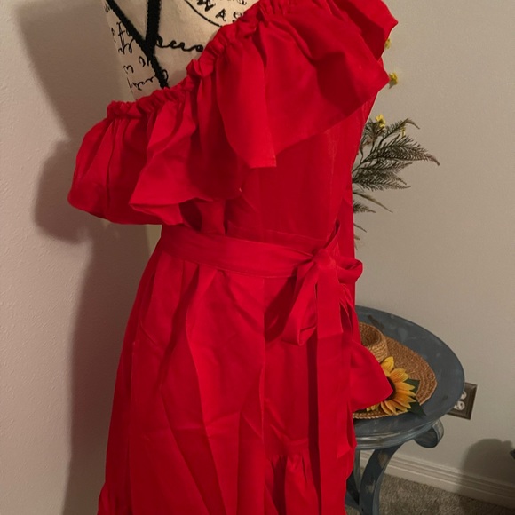 ♦️ CLEARANCE NWT Beautiful sexy Red dress  -size 16 - Picture 2 of 8